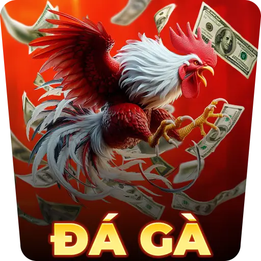 đá gà
